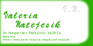 valeria matejcsik business card