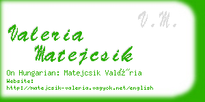 valeria matejcsik business card